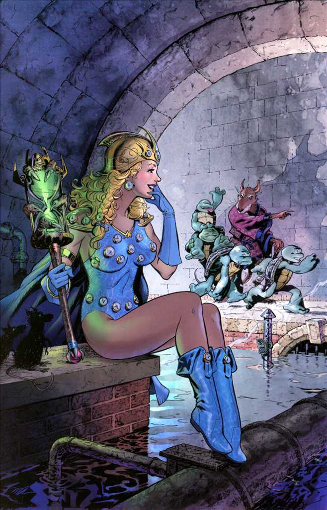 Teenage Mutant Ninja Turtles #20: 300th Issue Special C Blind Bag Virgin Cover by Michael Dooney
