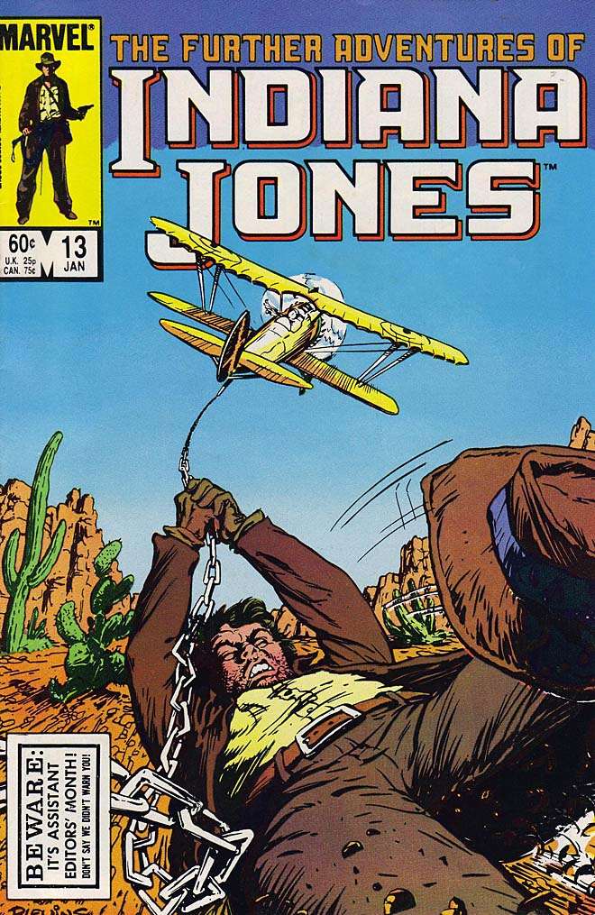 Further Adventures of Indiana Jones, The #13, Comic Book, Back Issue, buy comics online, comic book store guelph, online comic book store, local comic shop, Long Box Silver's Comics