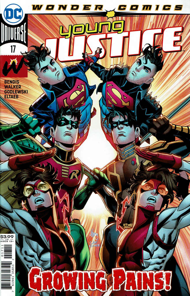 Young Justice (3rd Series) #17 (VF-NM), Comic Book, buy comic books online, online comic book store canada, sell comic books, online, comic websites, comic store,  vintige comic books, comic book store guelph, comic book store,  Long Box Silver's Comics 