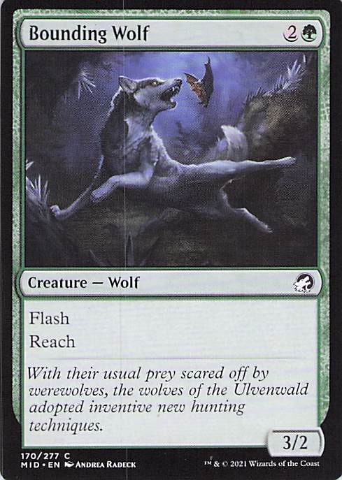Bounding Wolf Innistrad: Midnight Hunt #170 Common Near Mint or Better