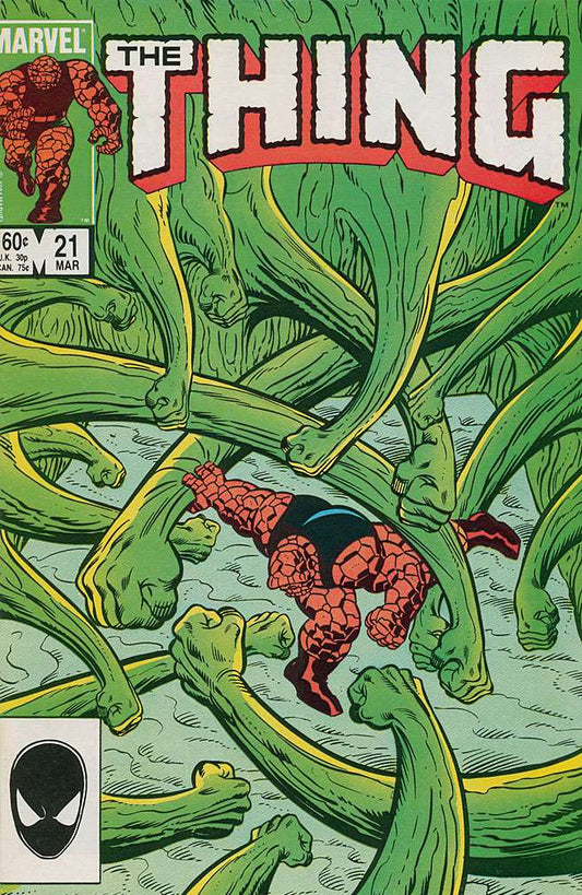 Thing, The #21, Comic Book, Back Issue, buy comic books online, order comics online, marvel comics, sell comic books, online, comic websites, comic store,  vintige comic books, comic book store guelph, comic book store, comic book store near me, Long Box Silver's Comic Book Store