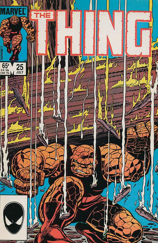 Thing, The (Newstand) #25/NS, Comic Book, Back Issue, buy comic books online, order comics online, marvel comics, sell comic books, online, comic websites, comic store,  vintige comic books, comic book store guelph, comic book store, comic book store near me, Long Box Silver's Comic Book Store