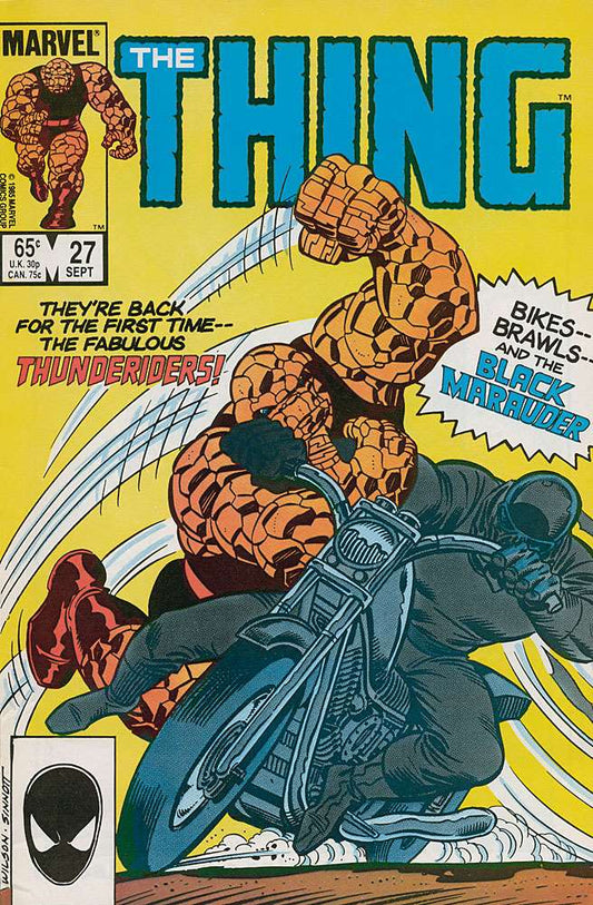 Thing, The #27, Comic Book, Back Issue, buy comic books online, order comics online, marvel comics, sell comic books, online, comic websites, comic store,  vintige comic books, comic book store guelph, comic book store, comic book store near me, Long Box Silver's Comic Book Store