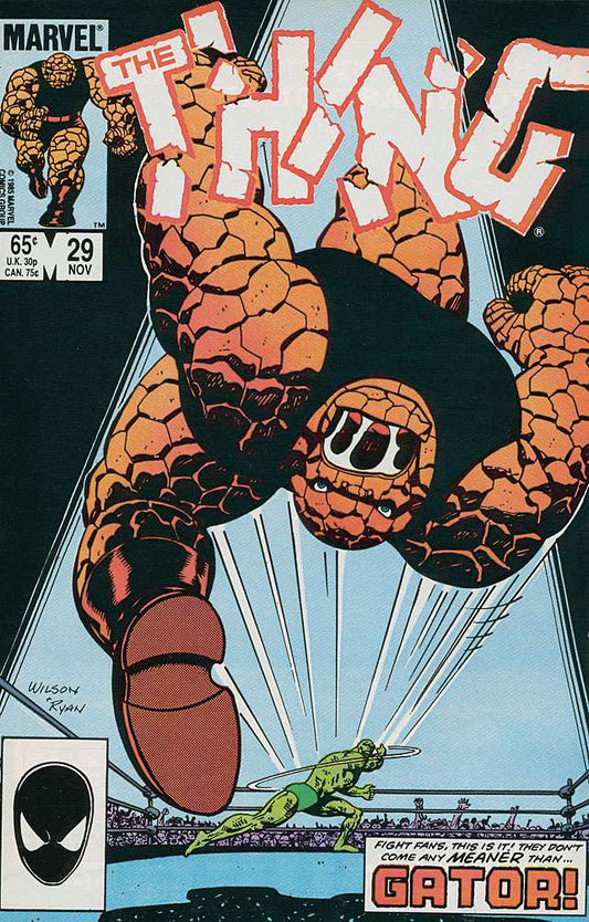 Thing, The #29, Comic Book, Back Issue, buy comic books online, order comics online, marvel comics, sell comic books, online, comic websites, comic store,  vintige comic books, comic book store guelph, comic book store, comic book store near me, Long Box Silver's Comic Book Store