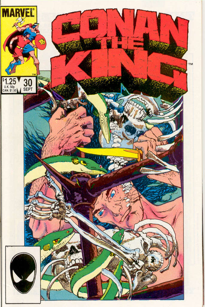 Conan the King #30 (VF-NM), Comic Book, buy comic books online, online comic book store canada, sell comic books, online, comic websites, comic store,  vintige comic books, comic book store guelph, comic book store,  Long Box Silver's Comics 