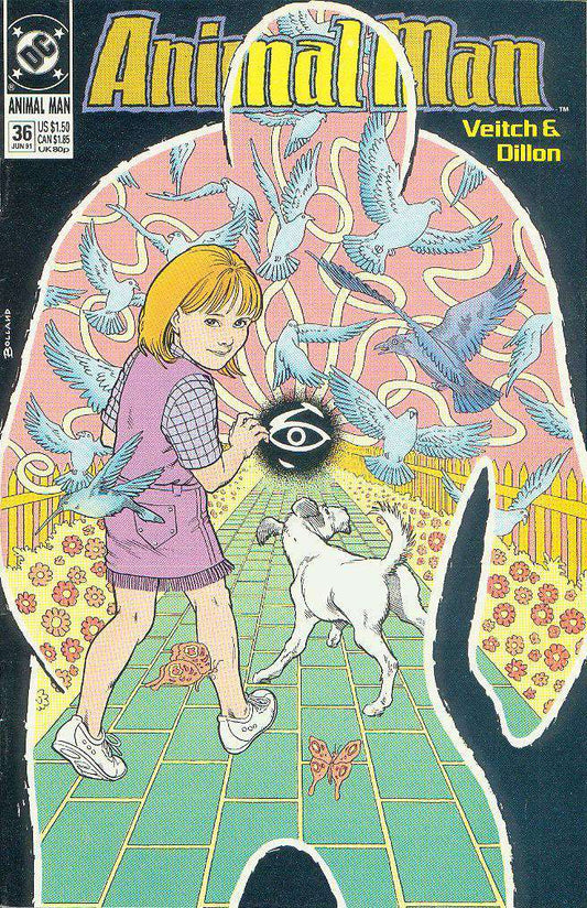 Animal Man #36, Comic Book, Back Issue, buy comics online, comic book store guelph, online comic book store, local comic shop, Long Box Silver's Comics