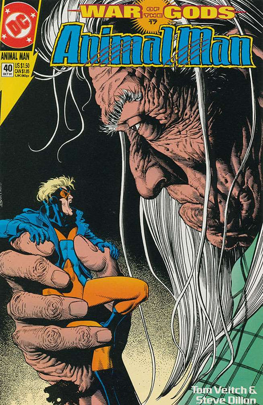 Animal Man #40, Comic Book, Back Issue, buy comics online, comic book store guelph, online comic book store, local comic shop, Long Box Silver's Comics