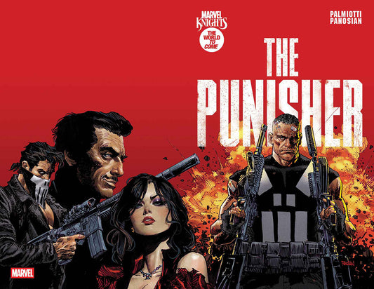 Marvel Knights: Punisher #1 (VF/NM)