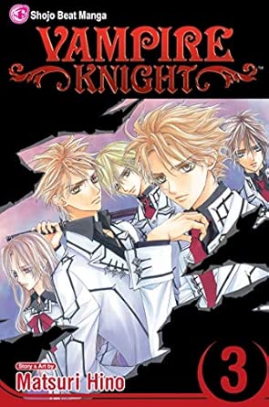 Vampire Knight, Vol.3 (F)